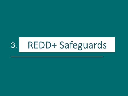 3. Salvaguardas para REDD+ REDD+ Safeguards. Activity Identification of REDD+ risks and opportunities RisksOpportunities.