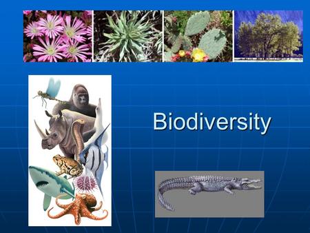 Biodiversity. Estimate over 1.5 million species Estimate over 1.5 million species Biodiversity is the number of different species in an area. Biodiversity.