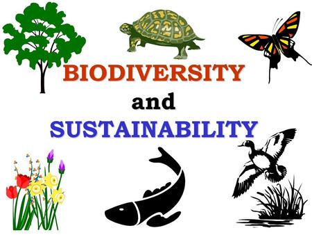 BIODIVERSITY and SUSTAINABILITY. Outline What is biodiversity? What is sustainability? How does biodiversity contribute to sustainability?