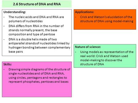 2.6 Structure of DNA and RNA