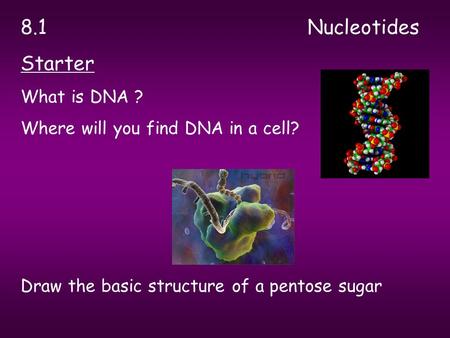 8.1Nucleotides Starter What is DNA ? Where will you find DNA in a cell? Draw the basic structure of a pentose sugar.