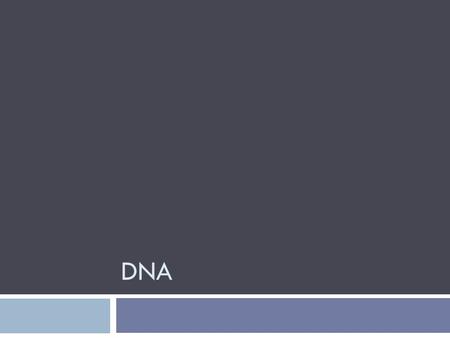 DNA. 2.6.1 The nucleic acids DNA and RNA are polymers of nucleotides Nucleic acids  first discovered in material extracted from the nucleus  2 types.