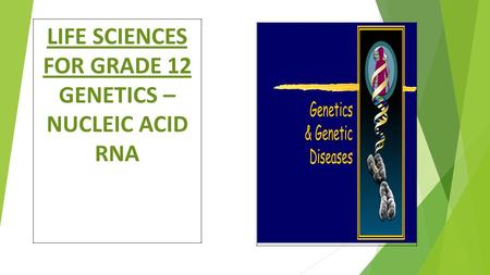 LIFE SCIENCES FOR GRADE 12 GENETICS – NUCLEIC ACID RNA.