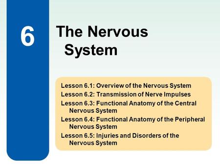 6 Lesson 6.1: Overview of the Nervous System Lesson 6.2: Transmission of Nerve Impulses Lesson 6.3: Functional Anatomy of the Central Nervous System Lesson.