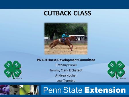 CUTBACK CLASS PA 4-H Horse Development Committee Bethany Bickel Tammy Clark Eichstadt Andrea Kocher Lew Trumble.