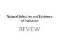 Natural Selection and Evidence of Evolution REVIEW.