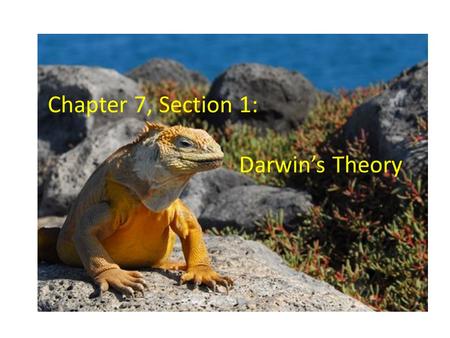 Chapter 7, Section 1: Darwin’s Theory. Charles Darwin A naturalist Studied plants and animals Traveled on a ship called the Beagle in the southern hemisphere.