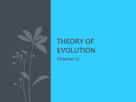 Chapter 13 THEORY OF EVOLUTION. In Darwin’s time, most people—including scientists—held the view that each species is a divine creation that exists, unchanging,