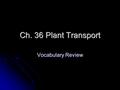 Ch. 36 Plant Transport Vocabulary Review. Make ONE Sentence: Increase water uptake Increase water uptake Water potential Water potential Pressure Pressure.