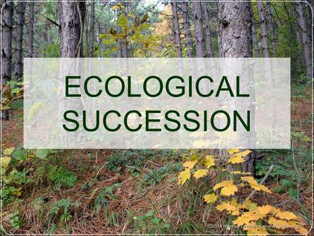 ECOLOGICAL SUCCESSION. Ecological Succession: Succession: Series of environmental changes that occur in a predictable way.