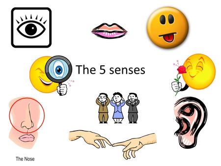 The 5 senses Sight Color-blind test Hearing.