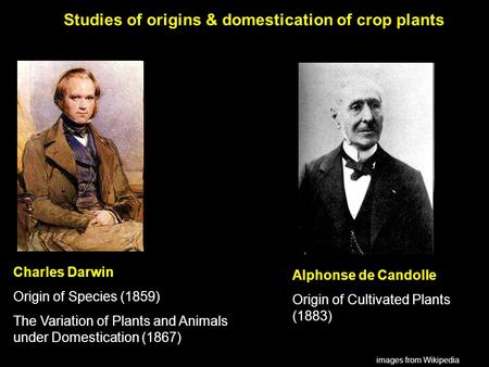 Alphonse de Candolle Origin of Cultivated Plants (1883) Charles Darwin Origin of Species (1859) The Variation of Plants and Animals under Domestication.