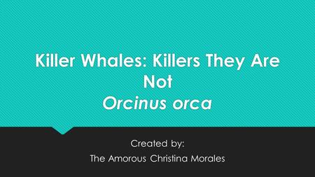 Killer Whales: Killers They Are Not Orcinus orca Created by: The Amorous Christina Morales Created by: The Amorous Christina Morales.