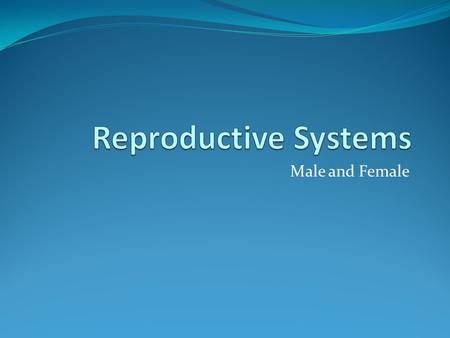 Male and Female. Egg Female sex cell also called an ovum Did you know? The largest cell in the human body is the female ovum, or egg cell. It is about.