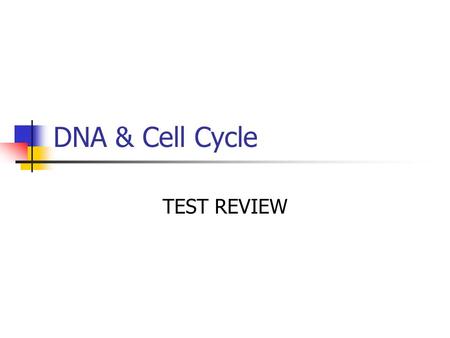 DNA & Cell Cycle TEST REVIEW. The time when a cell is eating, breathing, growing… Interphase.