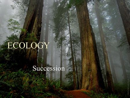 Succession. POINT > Describe primary succession in ecosystems POINT > Describe secondary succession in ecosystems POINT > Define a climax community.