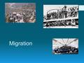 Migration.  Who is more culpable, the illegal migrant or the person or company who hires her/him? Is the real issue undocumented immigration or illegal.