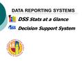 DSS Stats at a Glance DSS Stats at a Glance Decision Support System Decision Support System DATA REPORTING SYSTEMS.