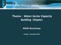 Theme : Water Sector Capacity Building Chapter NWRS Workshops October - December 2012 1.