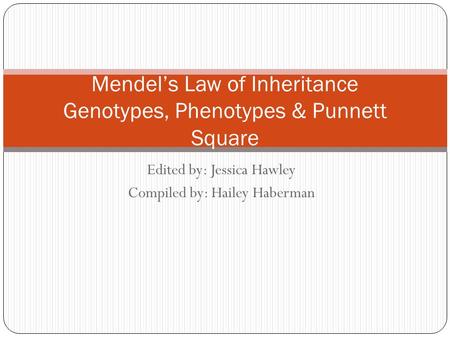 Edited by: Jessica Hawley Compiled by: Hailey Haberman Mendel’s Law of Inheritance Genotypes, Phenotypes & Punnett Square.