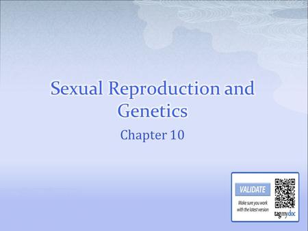 Chapter 10.  The instructions for all your traits are located on your DNA on small segments called genes. Genes are located on chromosomes Every species.