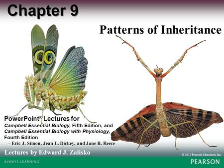 © 2013 Pearson Education, Inc. Lectures by Edward J. Zalisko PowerPoint ® Lectures for Campbell Essential Biology, Fifth Edition, and Campbell Essential.