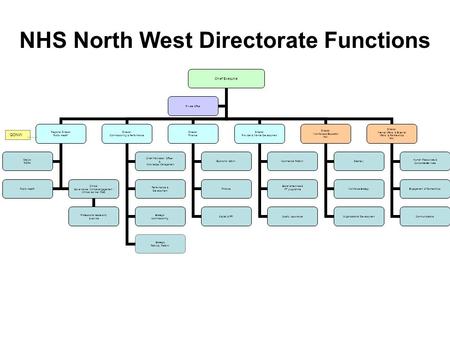 Chief Executive Regional Director Public Health Clinical Governance / Clinical engagement / Clinical advice / R&D Professional leadership & advice Deputy.