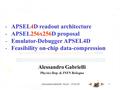 Alessandro Gabrielli - SLAC - 15/02/081 Alessandro Gabrielli Physics Dep. & INFN Bologna -APSEL4D readout architecture -APSEL256x256D proposal -Emulator-Debugger.