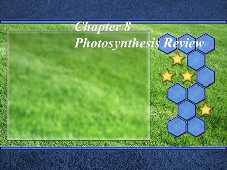 Chapter 8 Photosynthesis Review