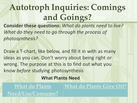 Autotroph Inquiries: Comings and Goings? What do Plants Need/Use/Consume? What do Plants Give Off? Consider these questions: What do plants need to live?