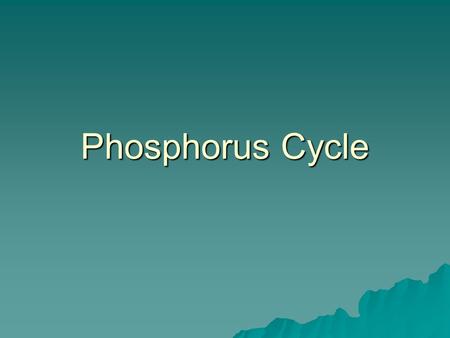 Phosphorus Cycle. Phosphorus  Key element in cell membranes, in making DNA, calcium phosphate in bones  2 cycles –Short term – living organisms –Long.