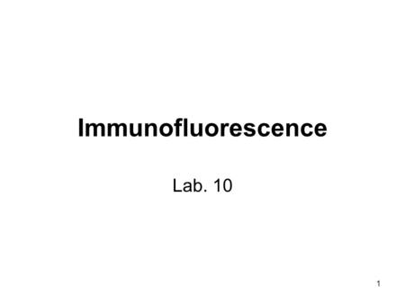 Immunofluorescence Lab. 10.