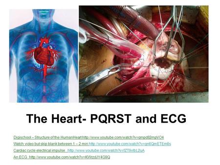 The Heart- PQRST and ECG