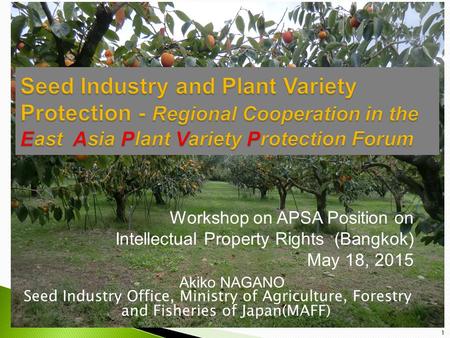 Workshop on APSA Position on Intellectual Property Rights (Bangkok) May 18, 2015 Akiko NAGANO Seed Industry Office, Ministry of Agriculture, Forestry and.