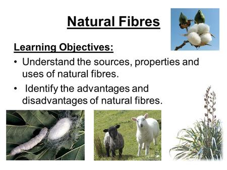 Natural Fibres Learning Objectives: