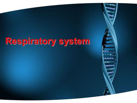 Respiratory system. Nose, pharynx,larynx,trachea,bronchi, and the lungs.