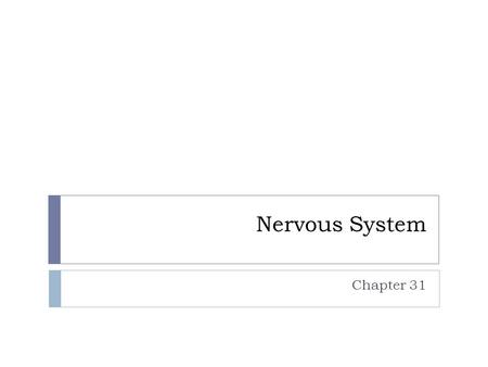 Nervous System Chapter 31.