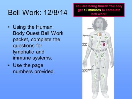 Bell Work: 12/8/14 Using the Human Body Quest Bell Work packet, complete the questions for lymphatic and immune systems. Use the page numbers provided.