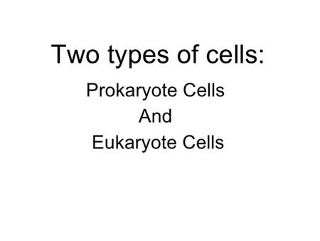 First, what is a cell? It took a long time for people to discover cells and figure out what they were all about. They needed sophisticated equipment.