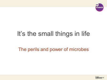 It’s the small things in life The perils and power of microbes.