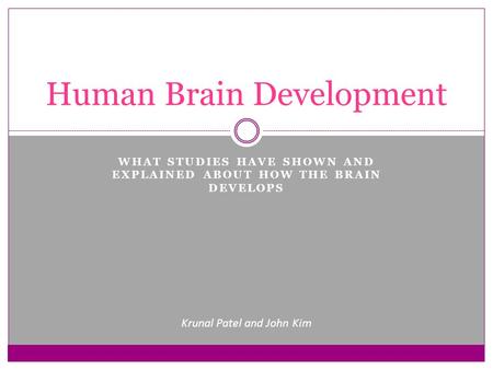 WHAT STUDIES HAVE SHOWN AND EXPLAINED ABOUT HOW THE BRAIN DEVELOPS Human Brain Development Krunal Patel and John Kim.