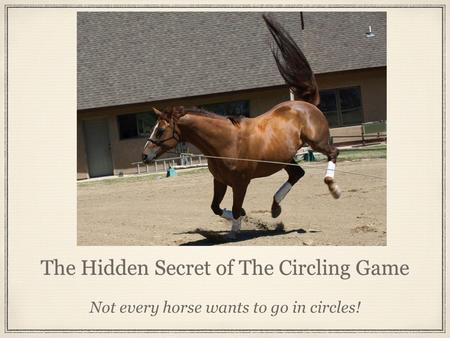 The Hidden Secret of The Circling Game Not every horse wants to go in circles!