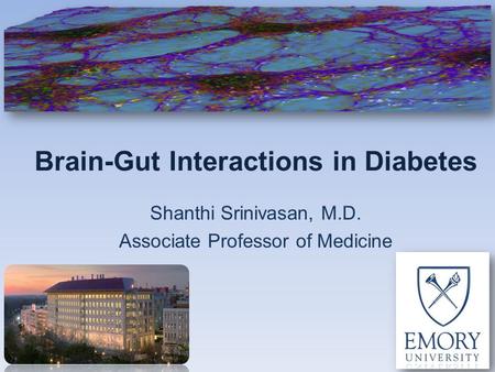 Brain-Gut Interactions in Diabetes Shanthi Srinivasan, M.D. Associate Professor of Medicine.