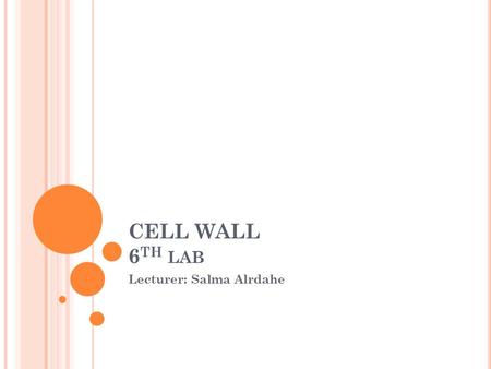 CELL WALL 6 TH LAB Lecturer: Salma Alrdahe. CELL WALL It is the wall of a cell in plants, bacteria, fungi, algae, and some archaea. Animals and protozoa.