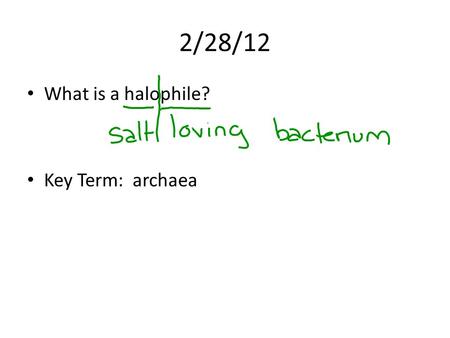 2/28/12 What is a halophile? Key Term: archaea 3/1/12 What compound makes up the cell wall of a bacterium? Key terms: same as yesterday.