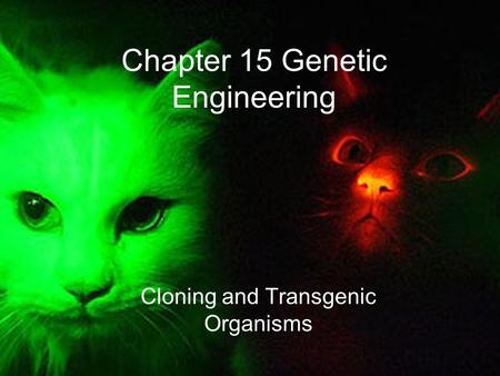 Chapter 15 Genetic Engineering Cloning and Transgenic Organisms.