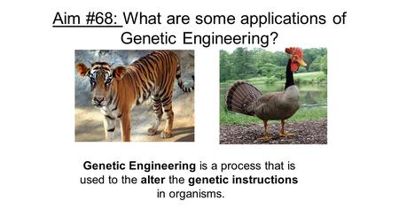 Aim #68: What are some applications of Genetic Engineering? Genetic Engineering is a process that is used to the alter the genetic instructions in organisms.