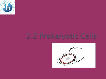 2.2 Prokaryotic Cells.  Smooth pencil lines, ruled label lines, labels parallel to top of page, label lines do not cross  The diagram should show.