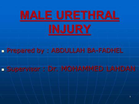 MALE URETHRAL INJURY Prepared by : ABDULLAH BA-FADHEL