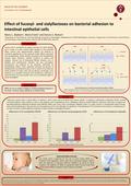 Commensal Pathogen - HMO+ HMO Glycan receptor HMO - HMO+ HMO Effect of fucosyl- and sialyllactoses on bacterial adhesion to intestinal epithelial cells.